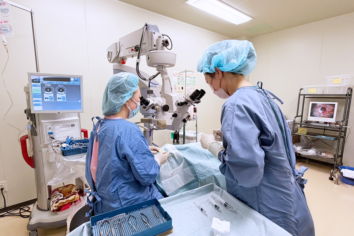 経験豊かな日本眼科学会眼科専門医が手術を担当します